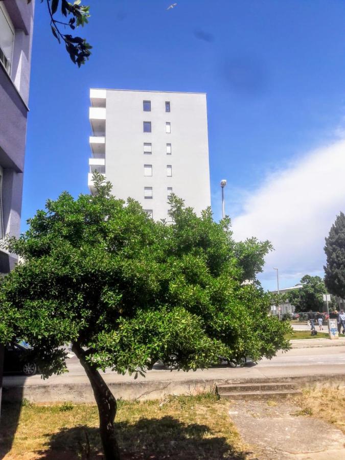 Studio Apartman Moonlight Zadar Exterior foto
